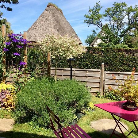 Chambres Tout Confort Du Tilleul Bosc-Benard-Commin 外观 照片
